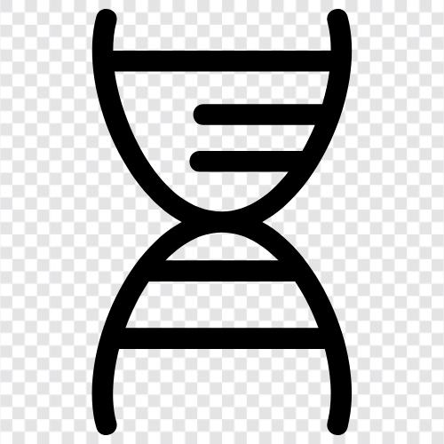genetik, kromozomlar, DNA testi, kalıtsal ikon svg