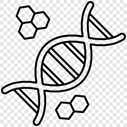 genetics, sequencing, mutation, DNA fingerprinting icon svg