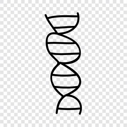 genetics, genome, genetic code, DNA sequencing icon svg