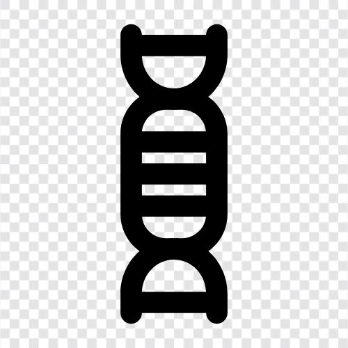 Genetik, Vererbung, Chromosomen, Polymerase Kettenreaktion symbol