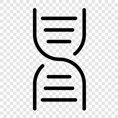 genetics, gene, chromosomes, DNA sequencing icon svg