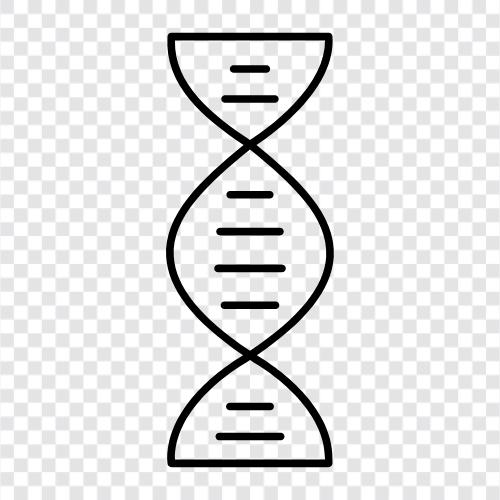 genetics, inheritance, cells, genetic code icon svg