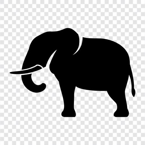 giant, animal, African, endangered icon svg