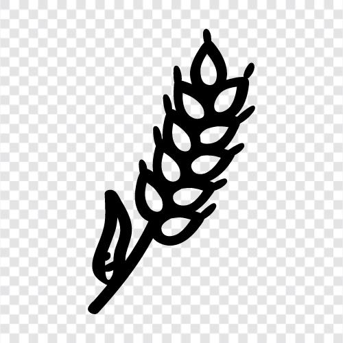 grain, pasta, flour, bread icon svg