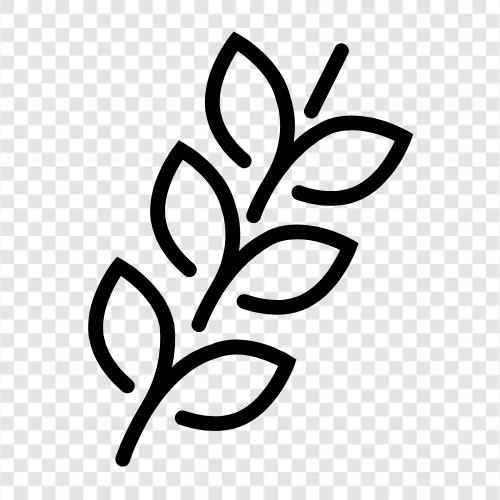 grains icon svg