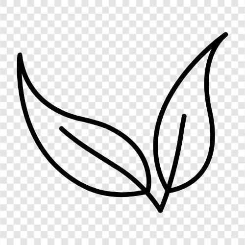 grün, Laub, Baum, Wachstum symbol