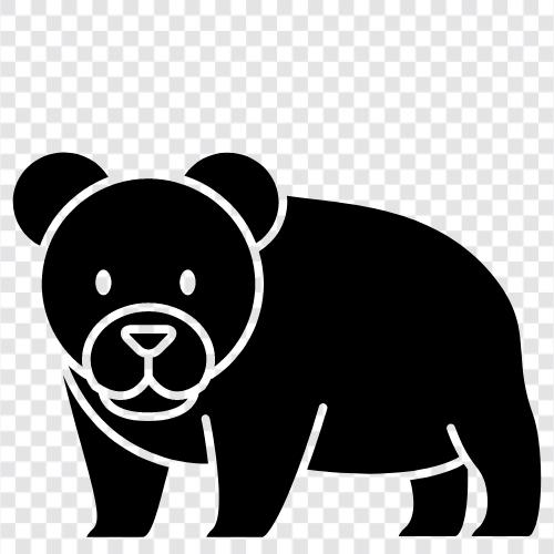 Grizzly, schwarzer Bär, brauner Bär, Eisbär symbol