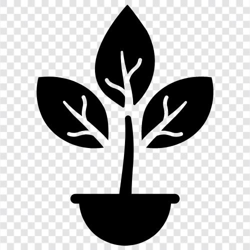 grow plants, vegetable garden, herb garden, hydroponic gardening icon svg