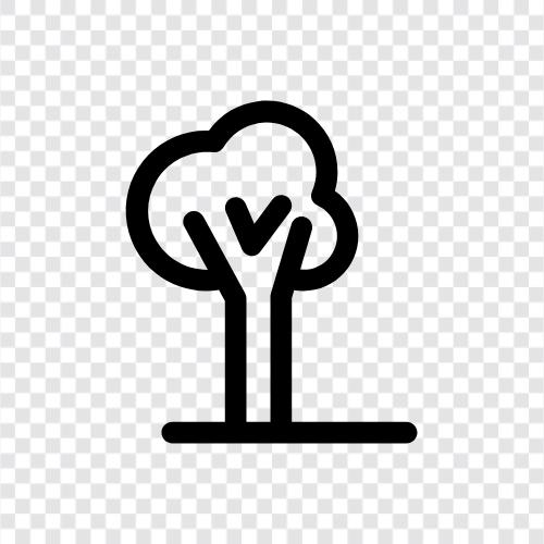 grows, tall, strong, branches icon svg