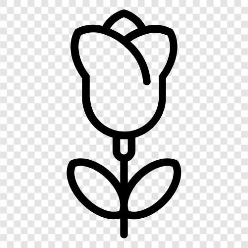 Wachstum, Blumen, Blätter, Sonnenlicht symbol