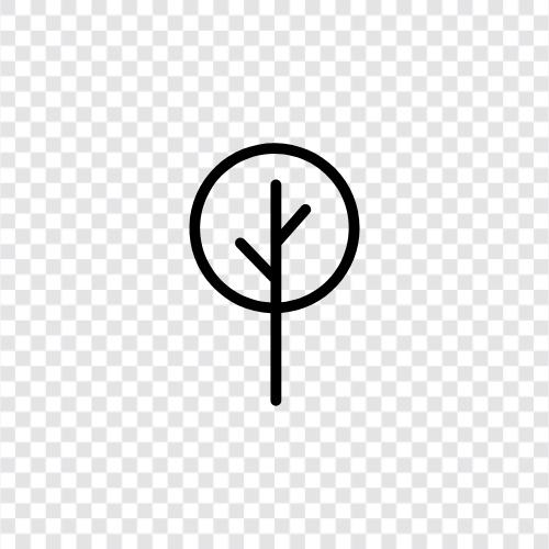 growth, health, longevity, forestry icon svg