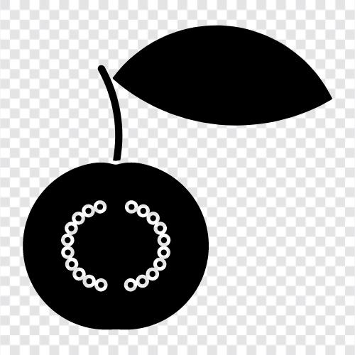 guava fruit, guava tree, guava juice, guava powder icon svg