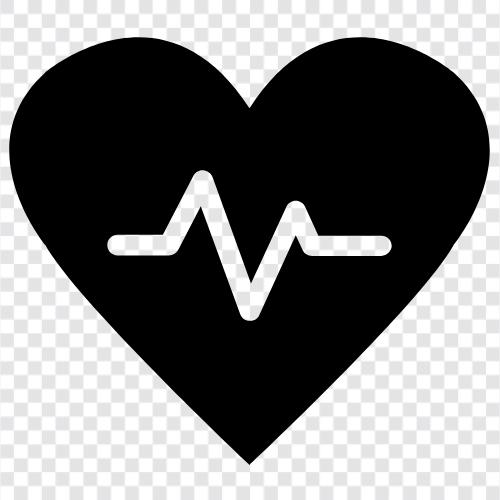 heartbeat, circulatory system, heartbeats per minute, pulse icon svg