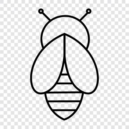 honey, pollination, sting, honey bee icon svg