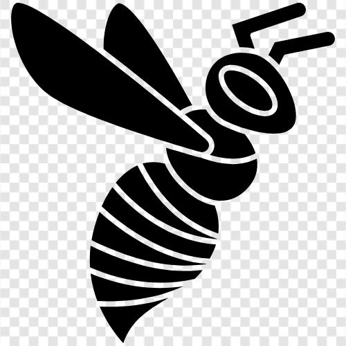 Honig, Bestäubung, Bienenzucht, Bienenprodukte symbol