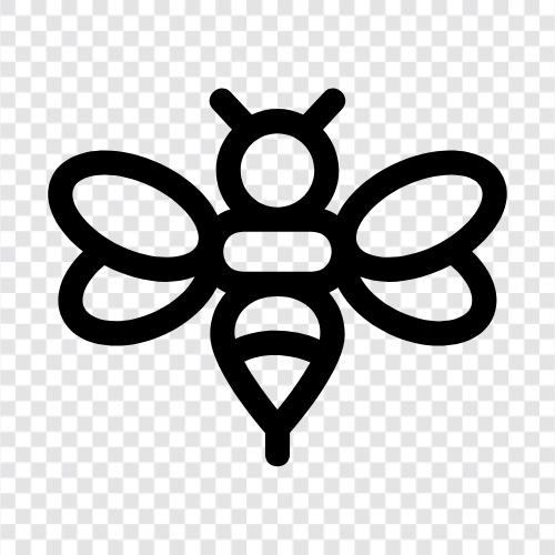 Honig, Bestäubung, Ernte, Landwirtschaft symbol