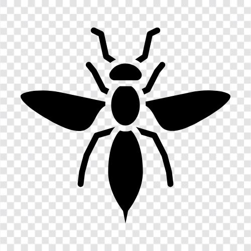 honey, pollination, honeybee, beekeeping icon svg