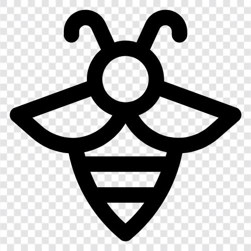 honey, beekeeping, beekeeping tips, beekeeping equipment icon svg