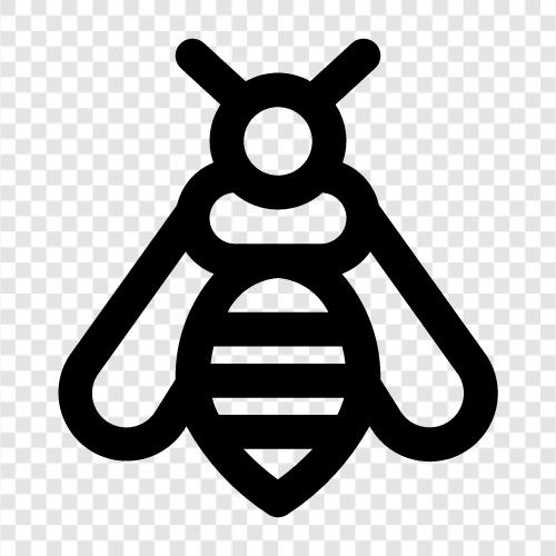 Honig, Bestäubung, Honigbienen, Bienenzucht symbol