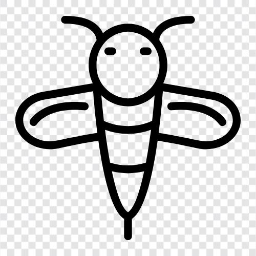 honey, pollination, honeybee, sting icon svg