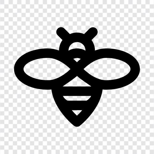 bal, bal arısı, apiary, arı kovanı ikon svg