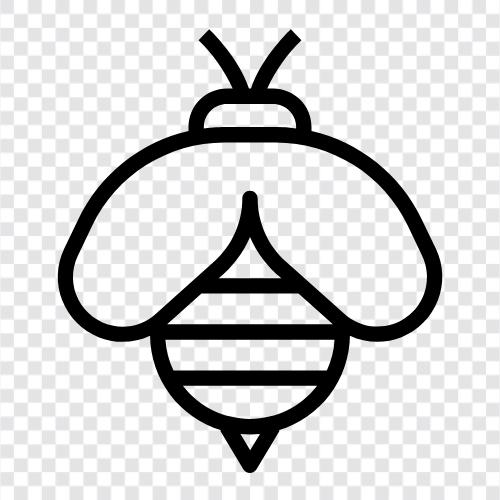 Honig, Bestäubung, Kolonie, Bienenstock symbol