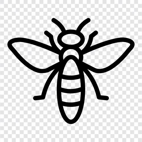 honey, pollination, queen, worker icon svg