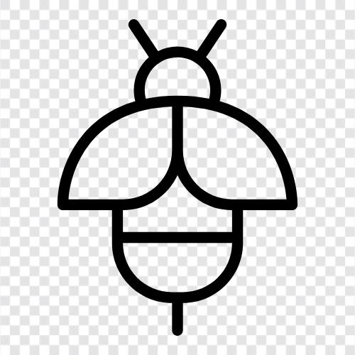 honey, beekeeping, pollination, bee product icon svg