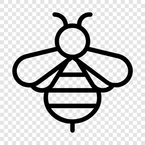 Honig, Bestäubung, Imker, Bienenzucht symbol