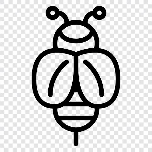 Honig, Bestäubung, Landwirtschaft, Bienenzucht symbol