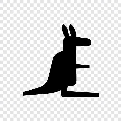 hopping, leaping, Kangaroo icon svg