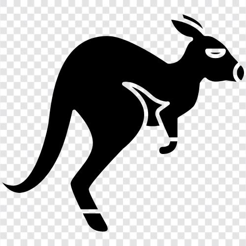 hopping, marsupials, Australian, wildlife icon svg