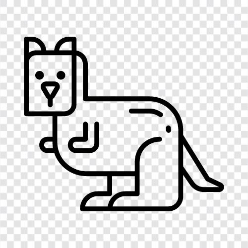 hopping, hayvan, marsupial, Kangaroo ikon svg