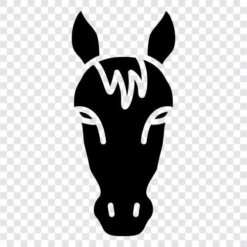 horseback riding, horse racing, horse breeding, horse training icon svg