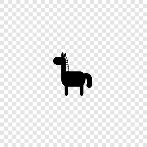 horseback riding, horse racing, horse breeding, horse training icon svg