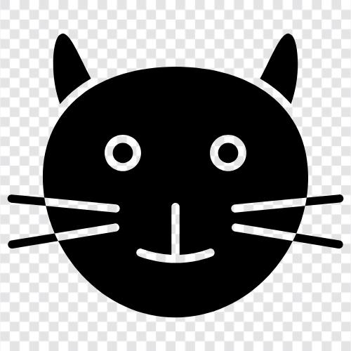 Hauskatze, feline, schnurr, mau symbol