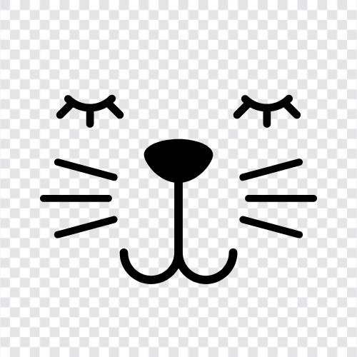 house cat, indoor cat, outdoor cat, pet cat icon svg