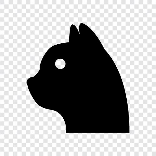 Hauskatze, Siamesische Katze, schwarze Katze, weiße Katze symbol