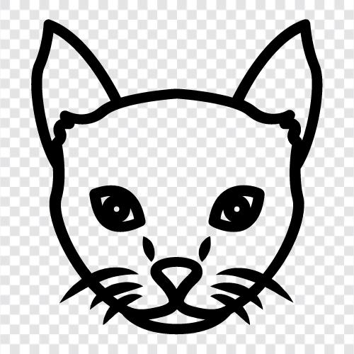 House Cat, Kitten, Tuxedo Cat, Ragdoll Cat icon svg