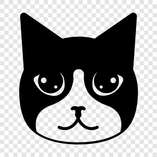 House, Pet, Feline, Cuddly icon svg