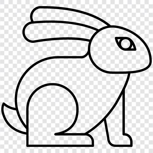 House Rabbit, Pet Rabbit, Rabbit Breeds, Rabbits For Sale icon svg