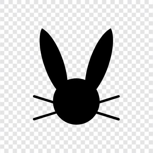 House Rabbit, Pet Rabbit, Furry Rabbit, Birman Rabbit icon svg