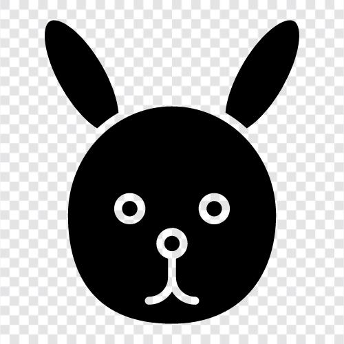 House Rabbit, Pet Rabbit, Litter Box, Pet Rabbit Care icon svg