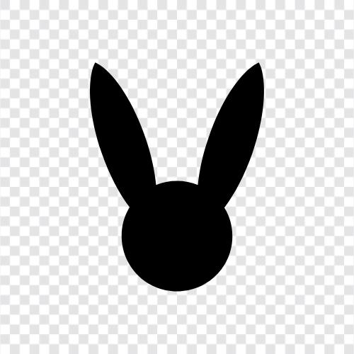 House Rabbit, Pet Rabbit, Animal Rabbit, Rabbit icon svg