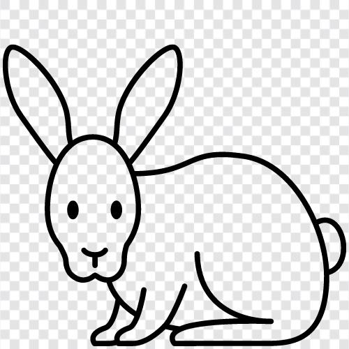 House Rabbit, Pet Rabbit, Cottontail Rabbit, hare icon svg