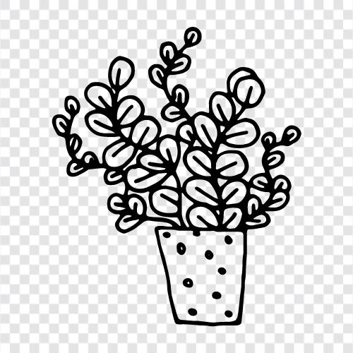 Hauspflanze, Innenpflanze, saftig, Kaktus symbol
