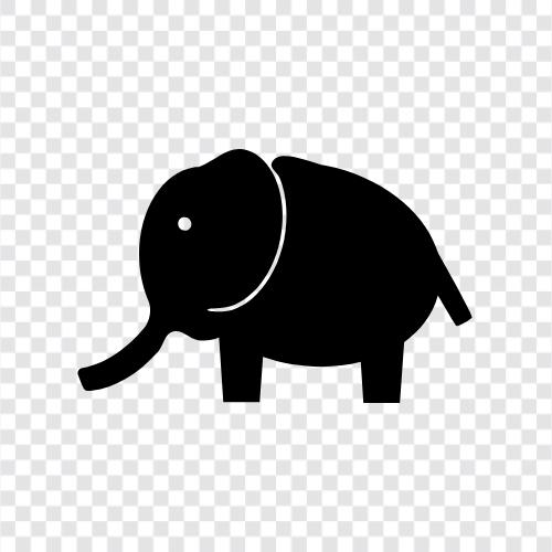 huge, lumbering, trunk, tusk icon svg