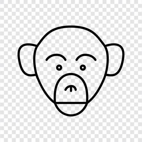 human, chimpanzee, gorilla, baboon icon svg