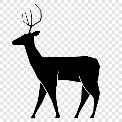 hunting, tracking, animal, animal tracking icon svg