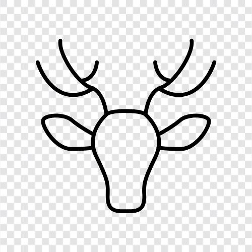 avcılık, elk, buck, antler ikon svg